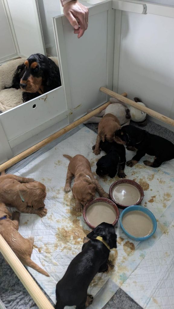Les bébés grandissent vite
